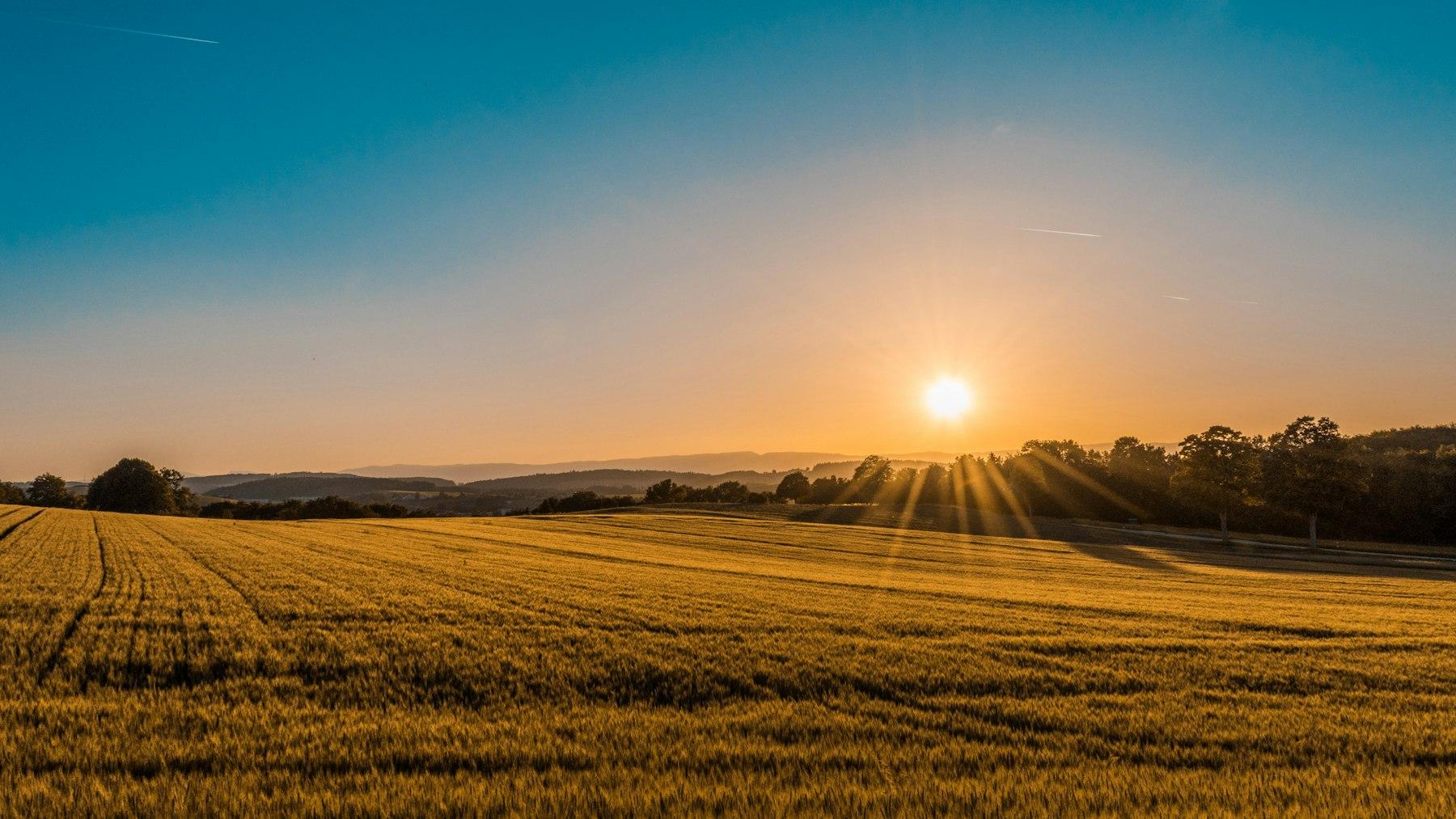 Open rural land at sunrise, with fields stretching toward distant hills
